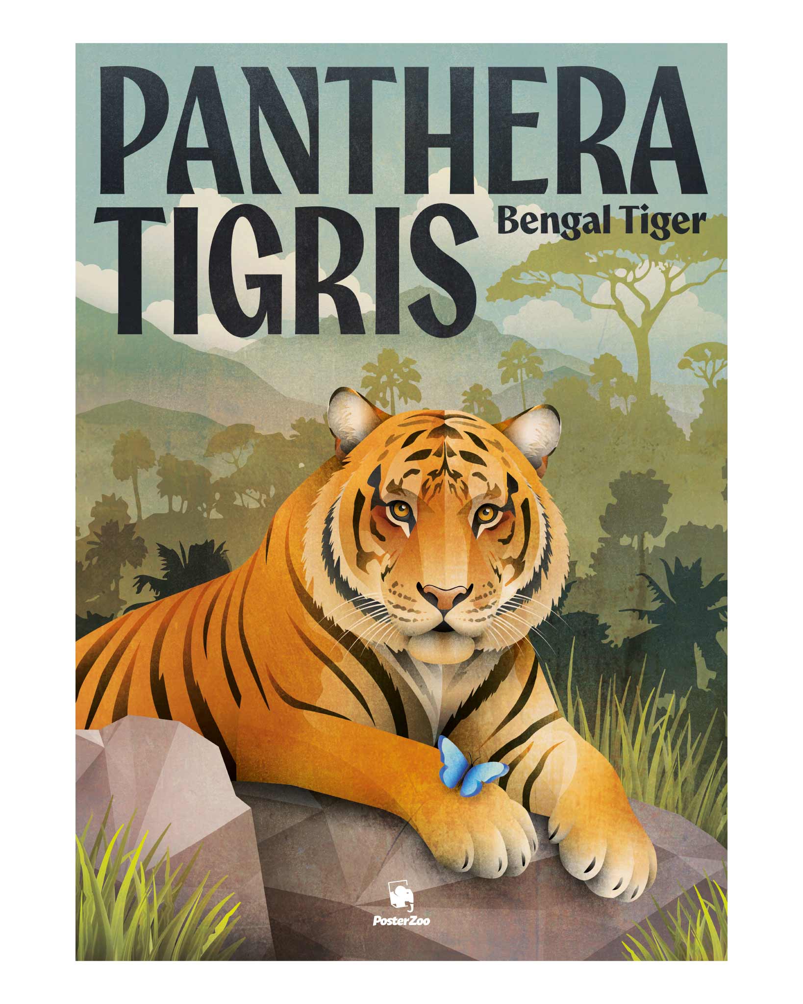 Ein illustriertes Tier-Plakat mit einem Bengal-Tiger als großes Motiv inmitten von Gräsern, Steinen und Bäumen sowie einer auffälligen typografischen Inszenierung des lateinischen Namens.